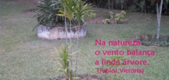 Turmas de 4º e 5º anos criam Haicai
